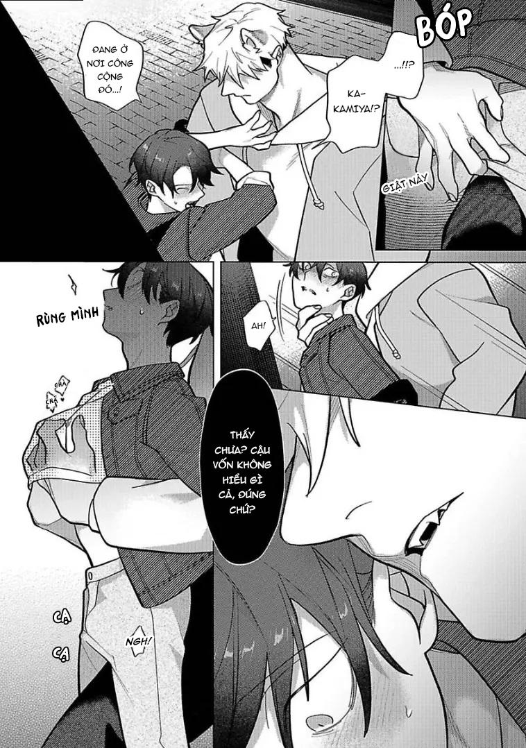 Nghiền nát tôi và dạy tôi về tình yêu - Chap 5