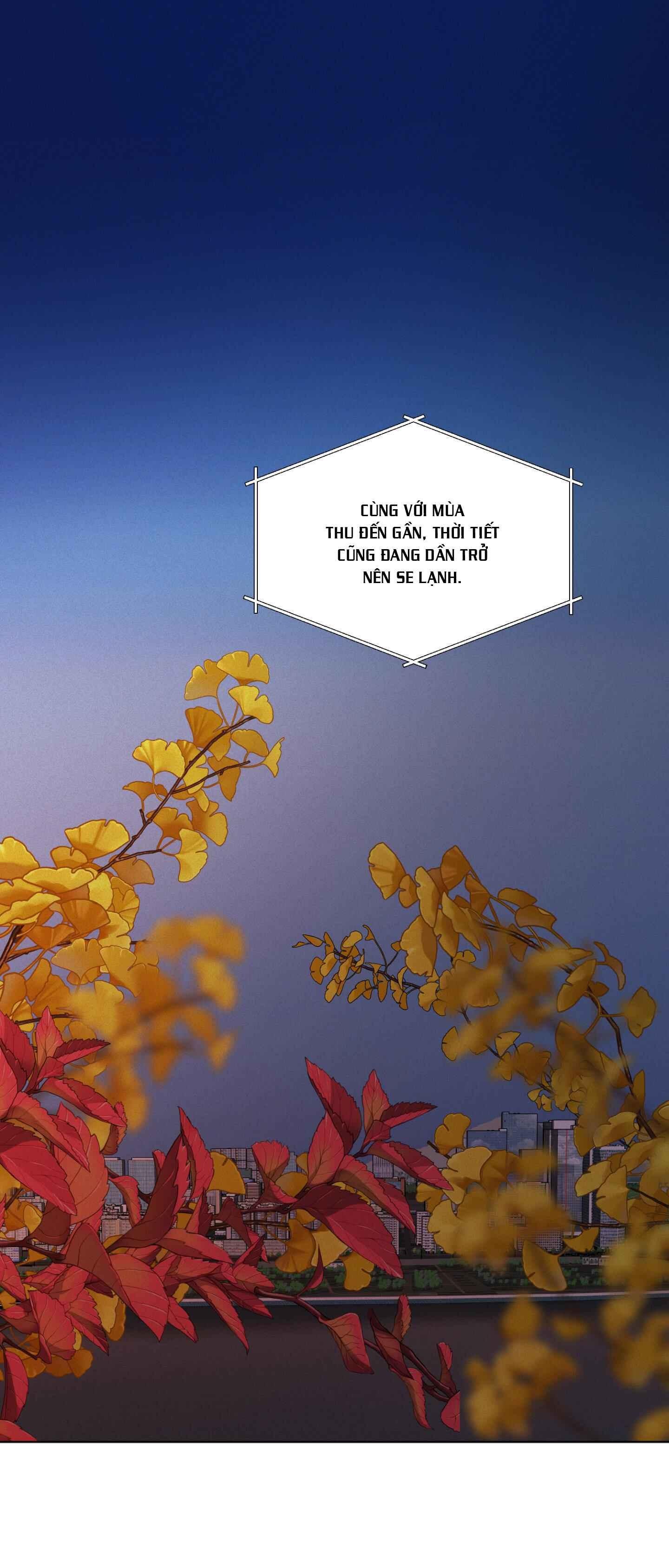 (ABO) LỜI CẦU NGUYỆN - Chap 55