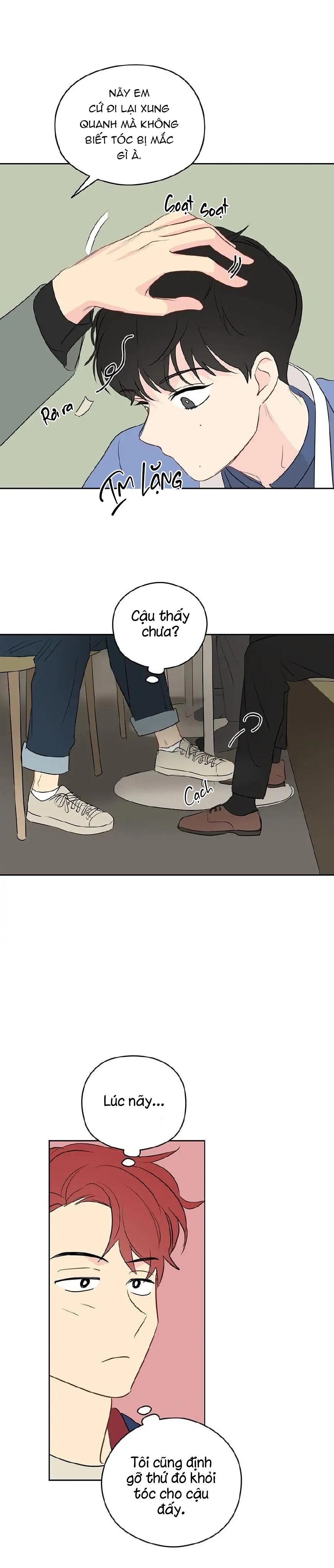 Liệu Rằng... Đây Có Phải Chỉ Là Một Giấc Mơ Không!? - Chap 12