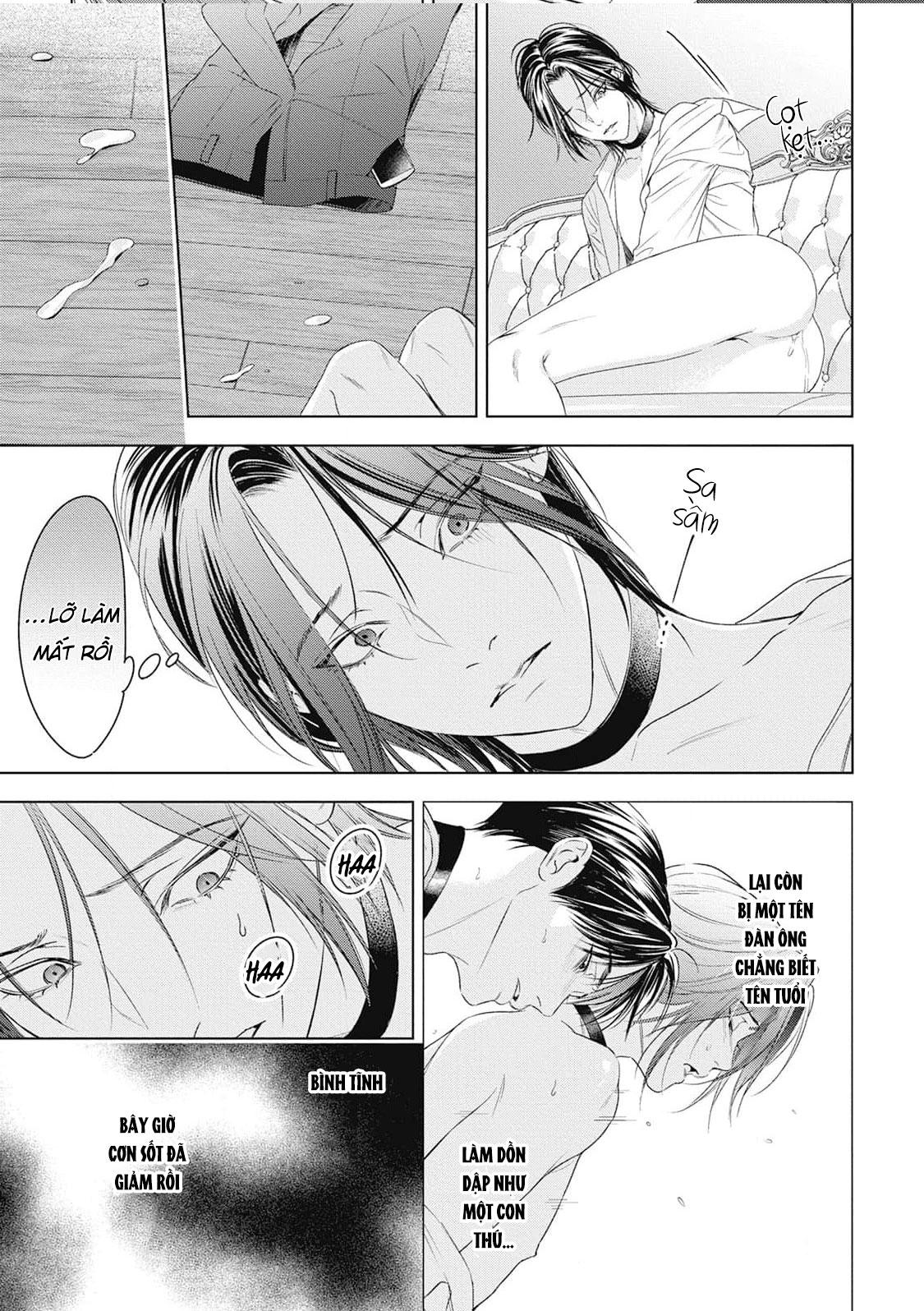 Hòa thanh dưới ánh nến hoa cùng tình yêu của Omega - Chap 4