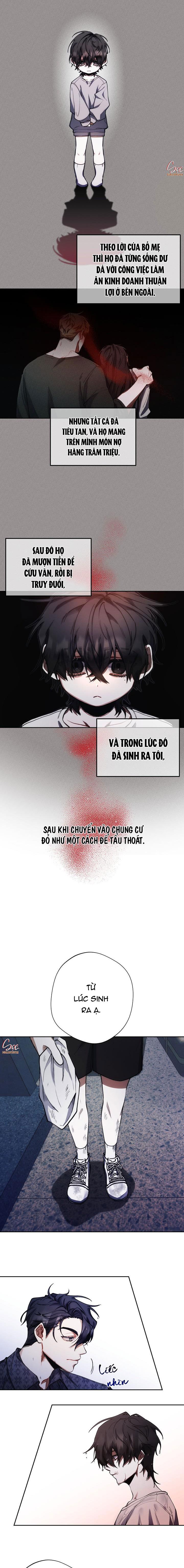 RED MANSION - Chap 8