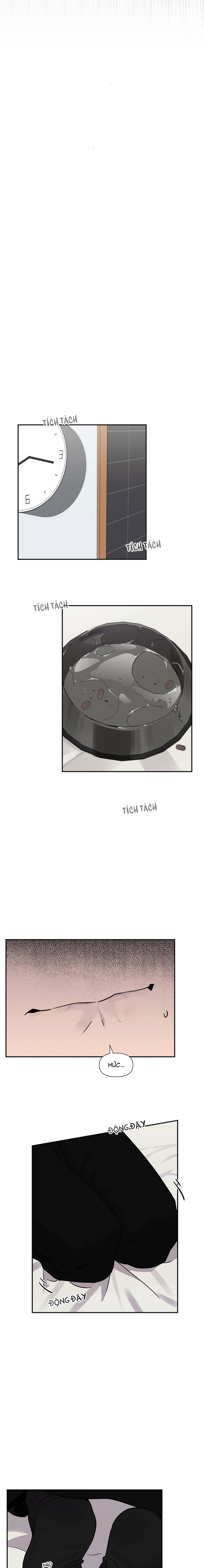 XIỀNG XÍCH HOÀN MỸ - Chap 2