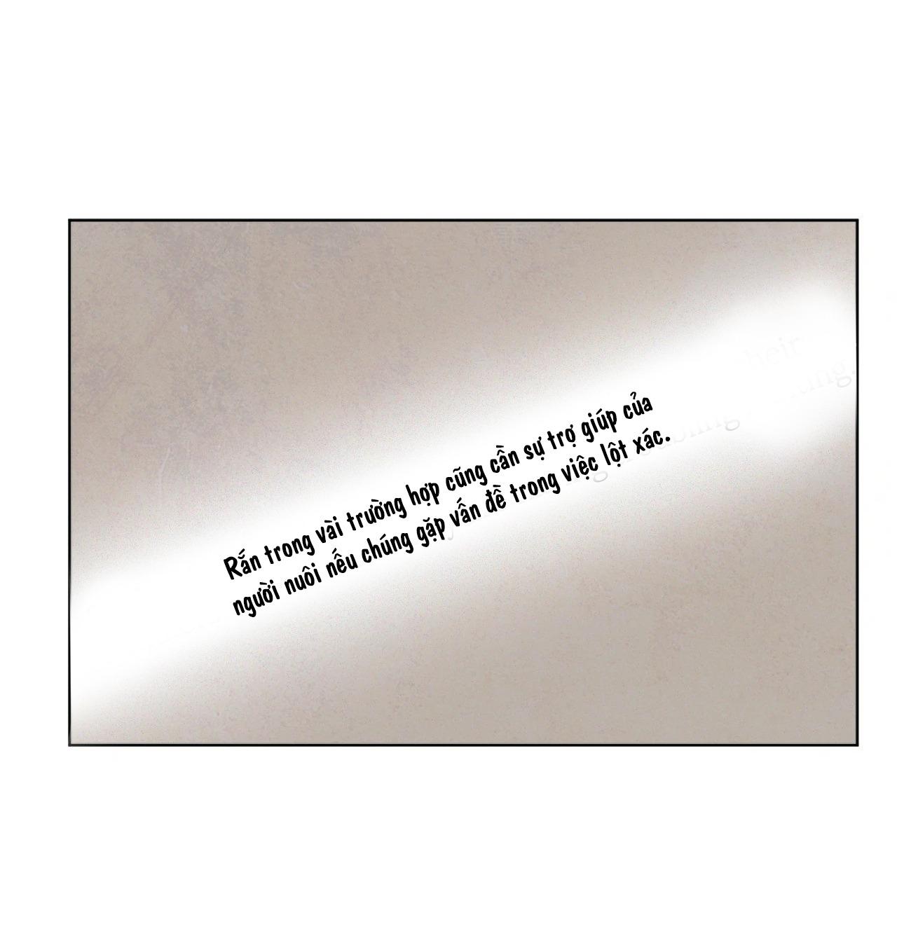 Sự quyến rũ của Thần Rắn - Chap 22