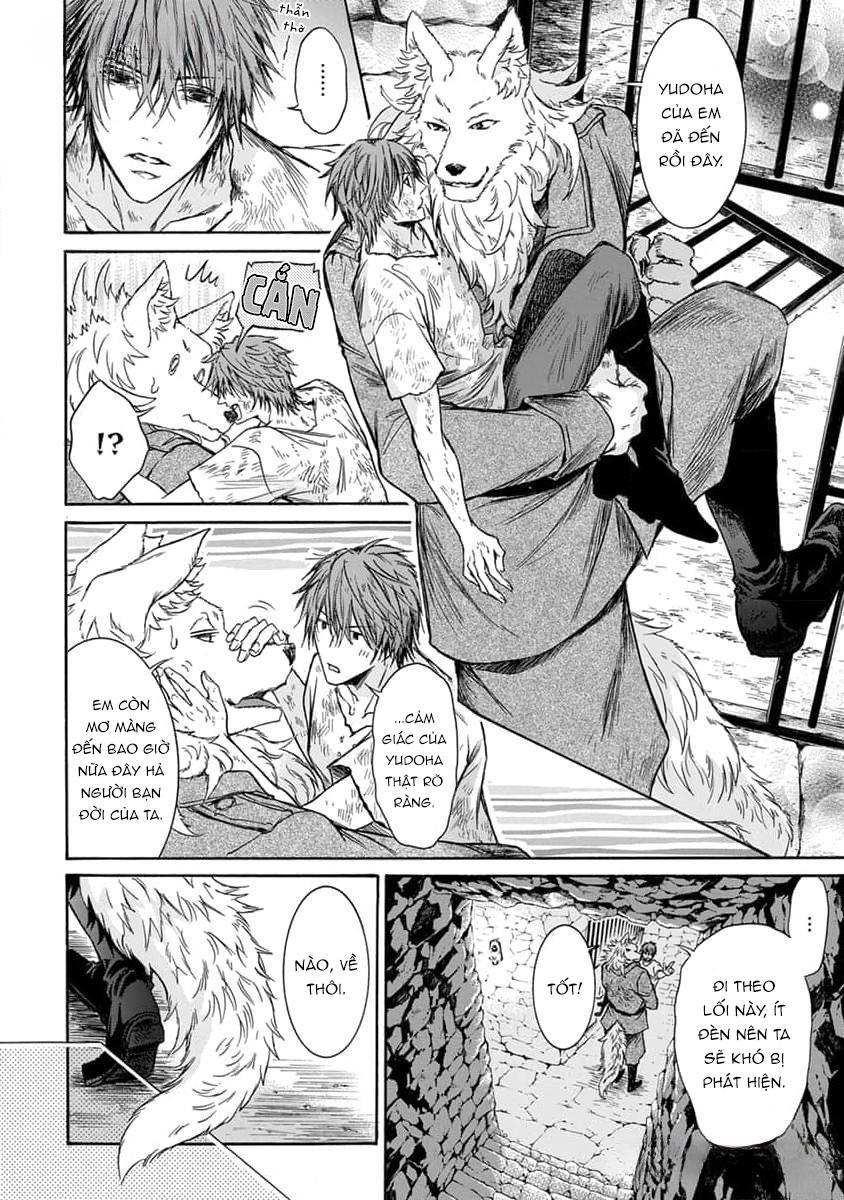 Quái thú không thể tách rời - Chap 11