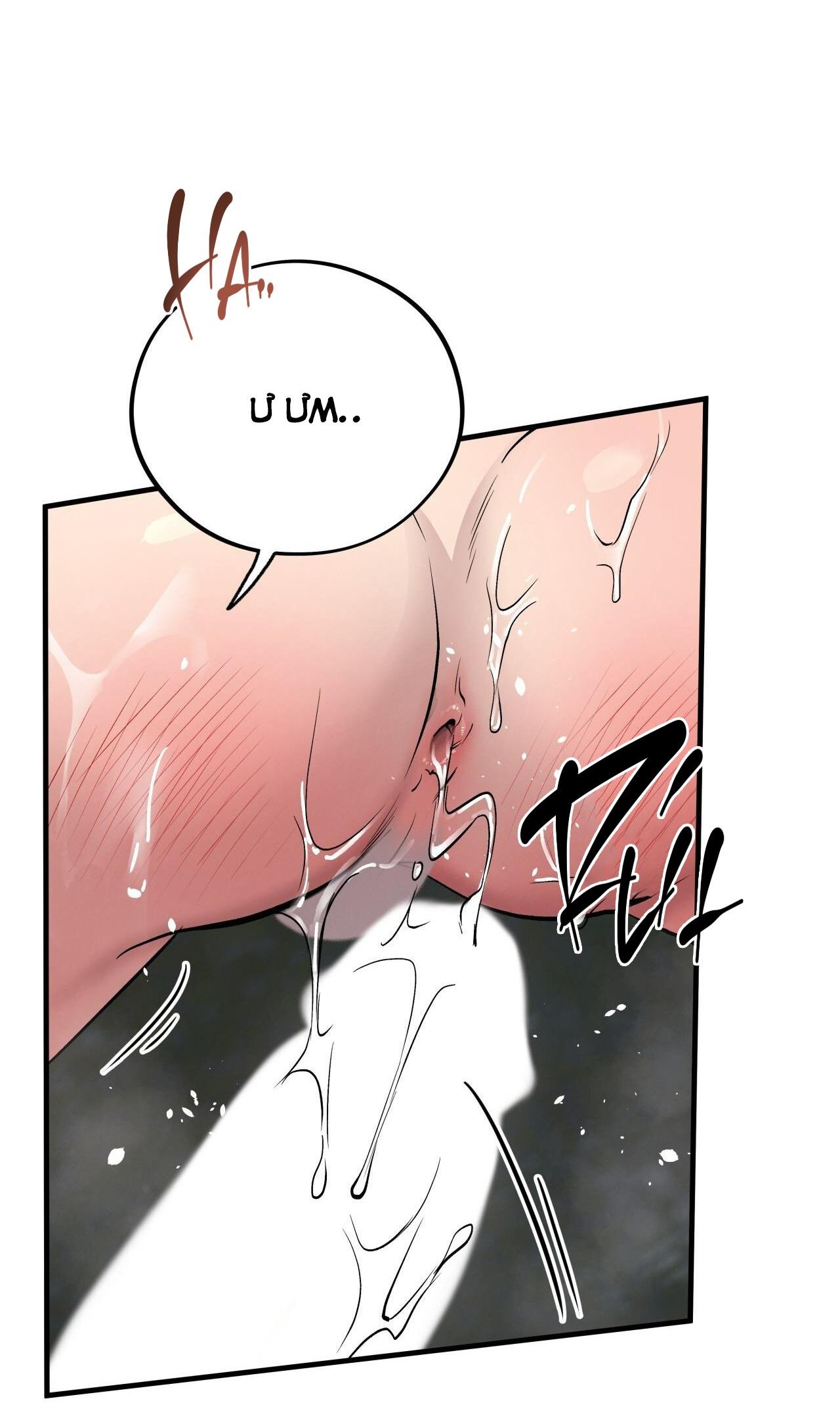 MẬT GẤU - Chap 49