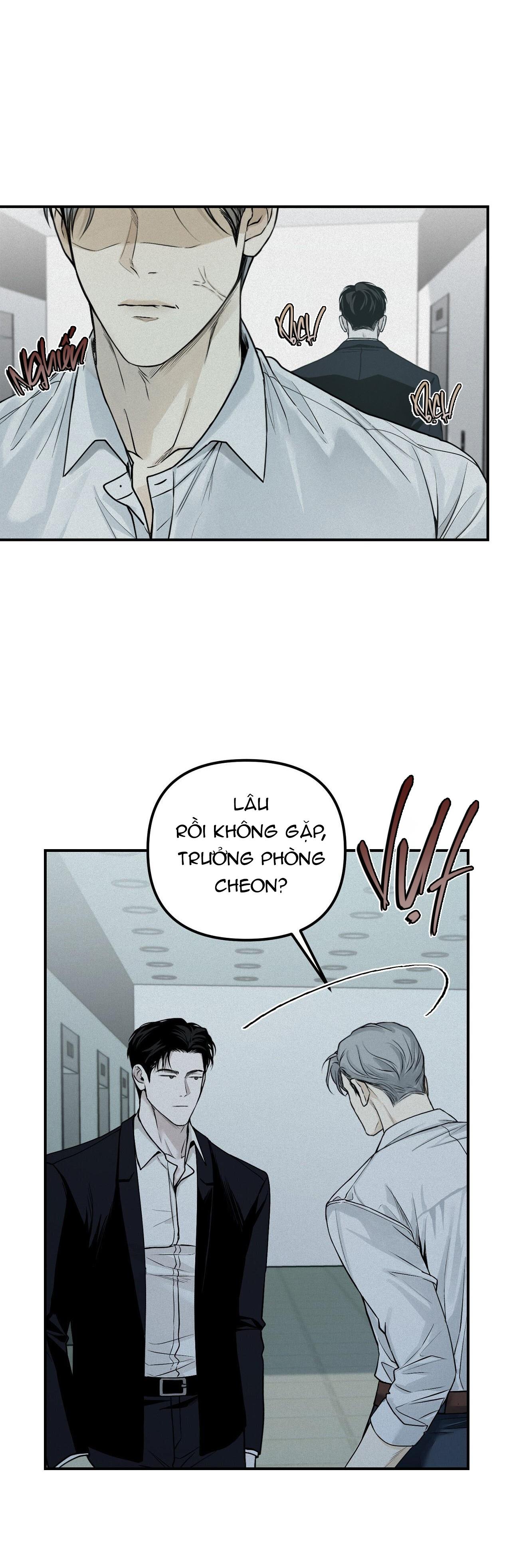 PROJECTION - Chap 28