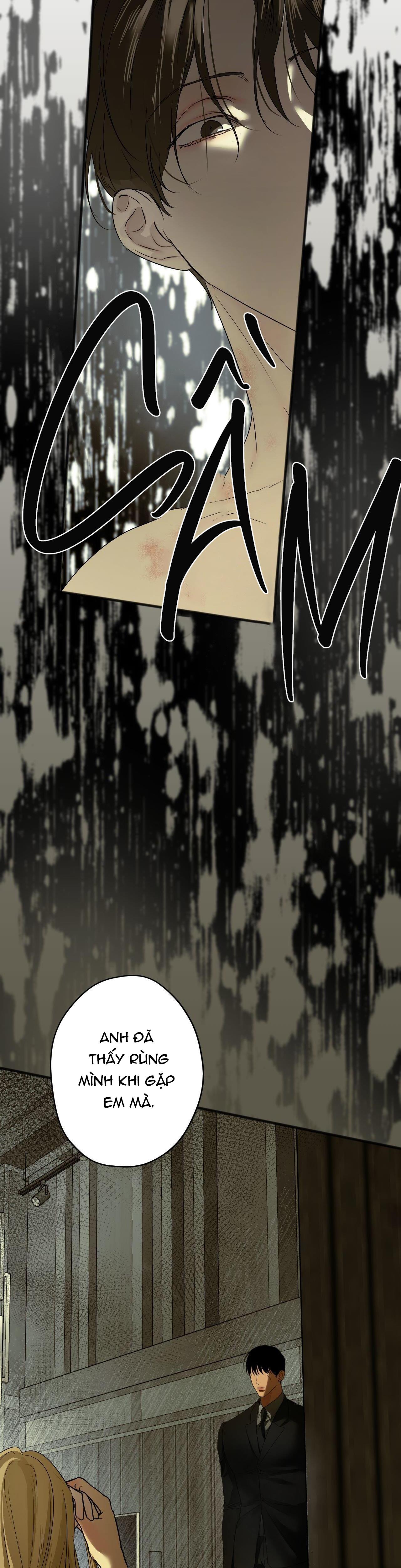 ÁI TÌNH VÀ DỤC VỌNG - Chap 19