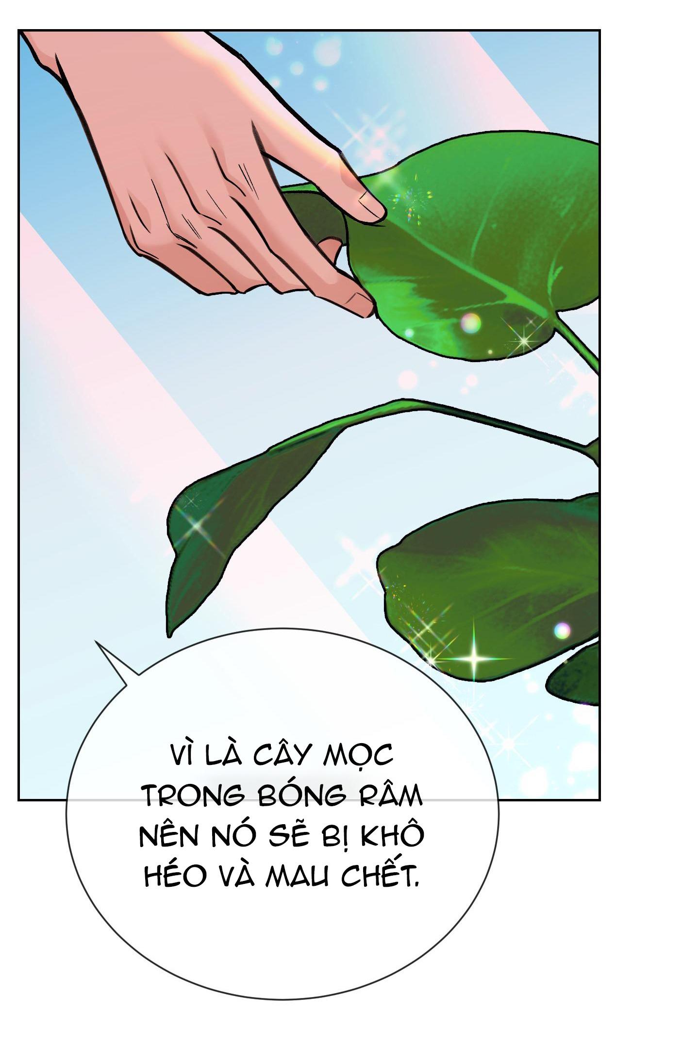Tuyển Tập Manhwa Dằm Khăm - Chap 75