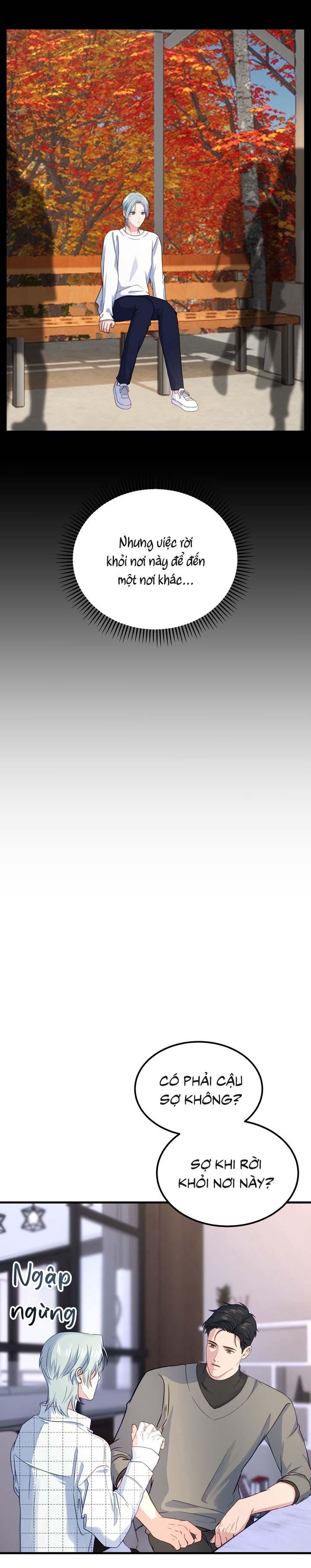 Người Cá Biến Mất - Chap 5