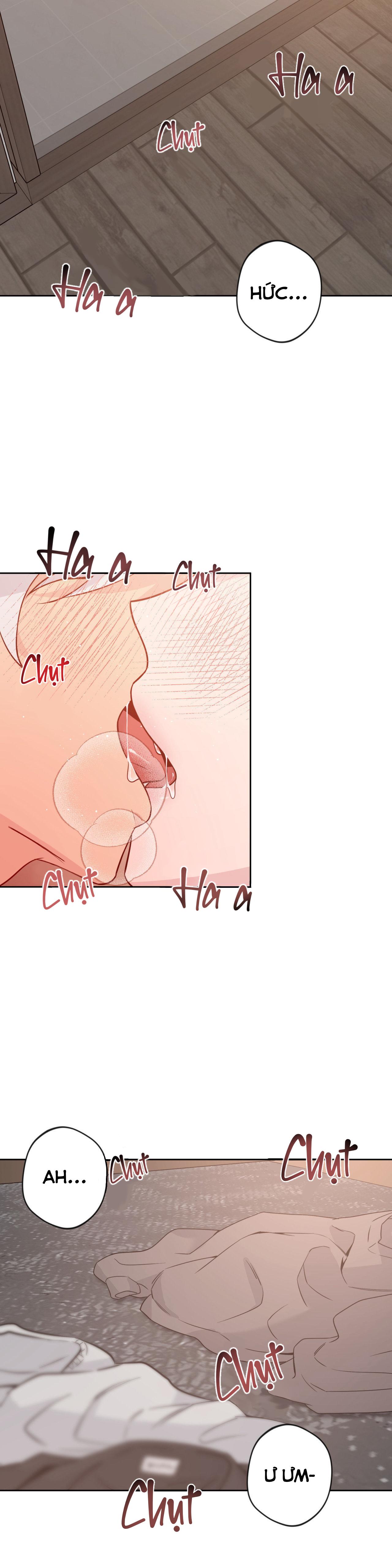 NỤ HÔN THIÊN THẦN - Chap 12