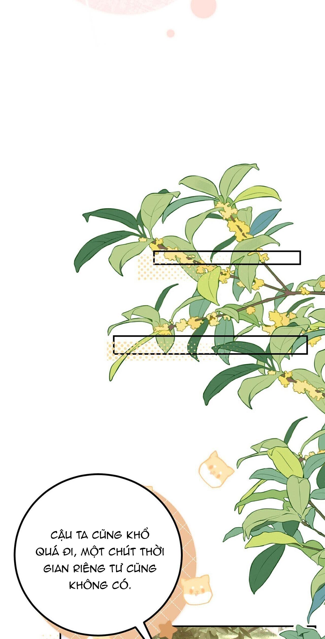 Mỗi Ngày Đều Muốn Làm Hoàng Tử Ốm Yếu Đội Quần - Chap 5