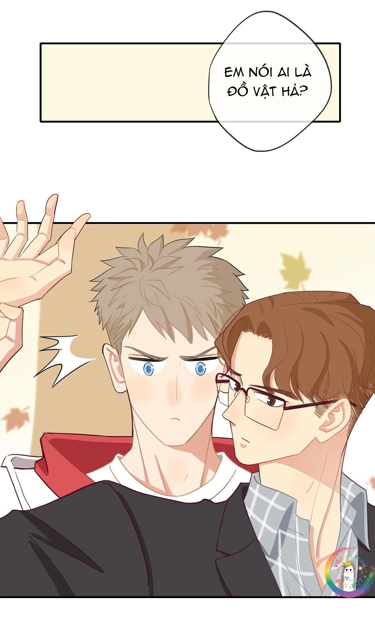 Tình Chàng 30 - Chap 38