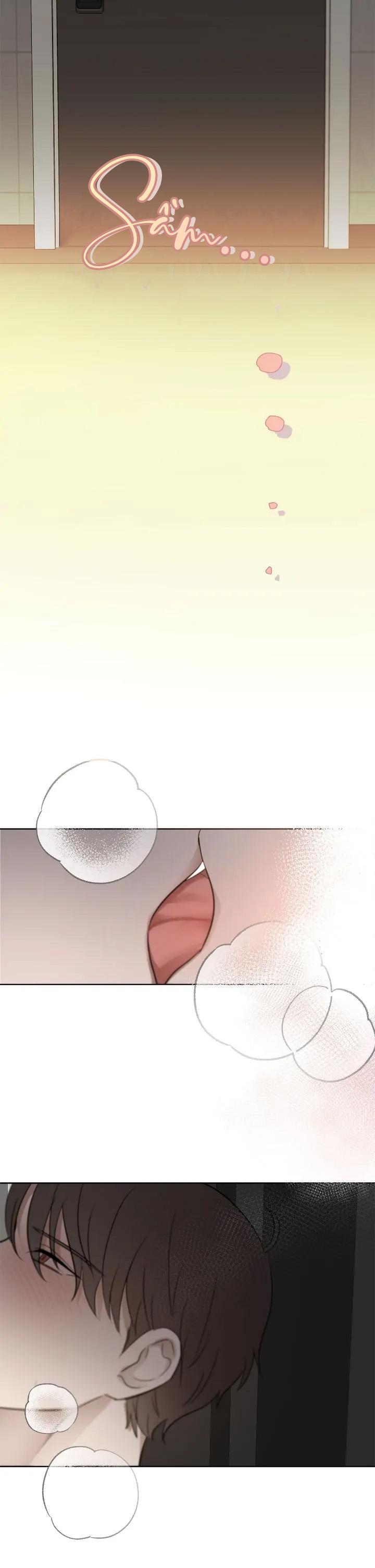 Niềm An Ủi Ngày Chủ Nhật - Chap 43