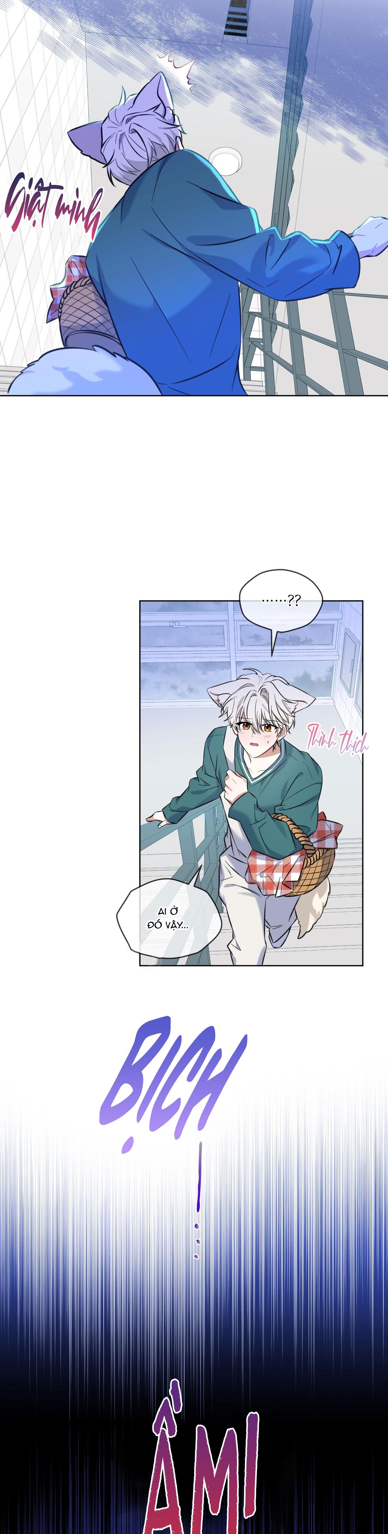 NƯỚC UỐNG TÌNH YÊU CỦA CÁO PLIN - Chap 2