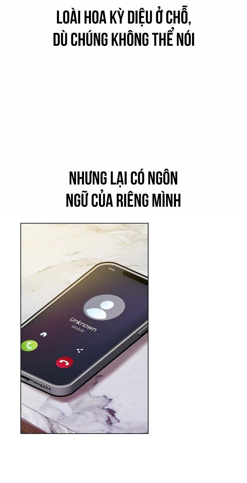 Flower of youth - Chap 2