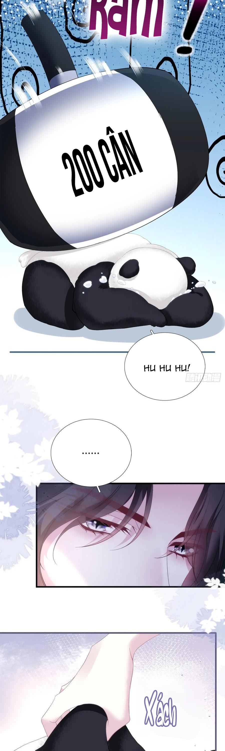 Thánh Tâm không dễ chọc - Chap 66