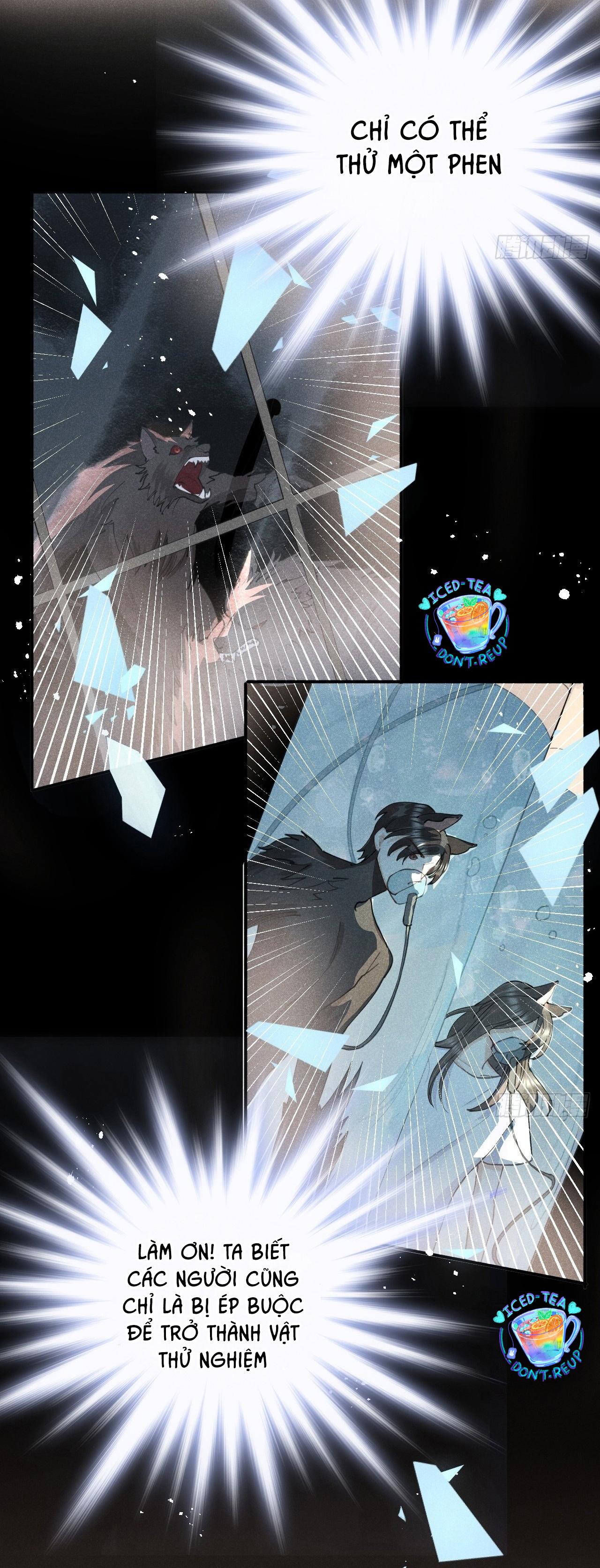 Lang Sói Thượng Khẩu - Chap 81