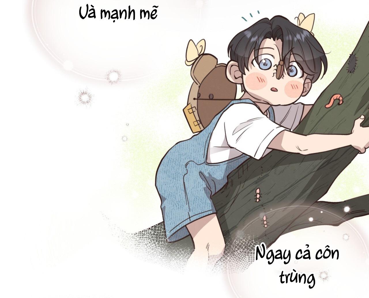 MẬT GẤU - Chap 38