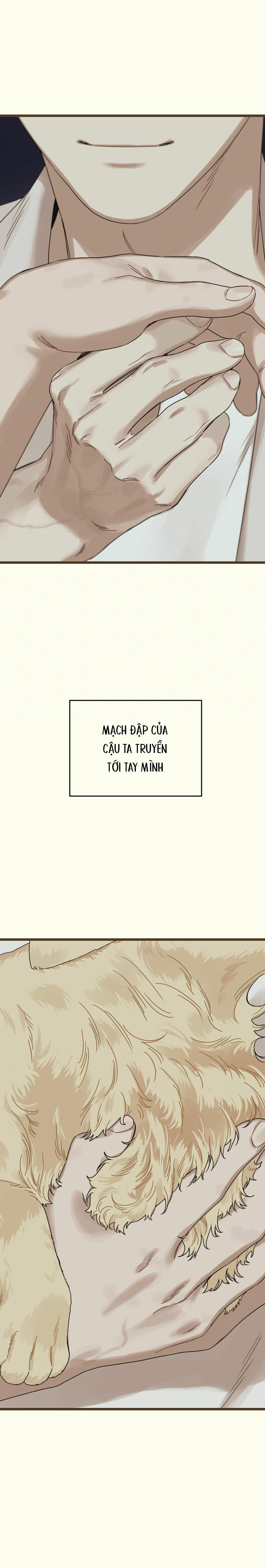 TRÙNG PHÙNG - Chap 18