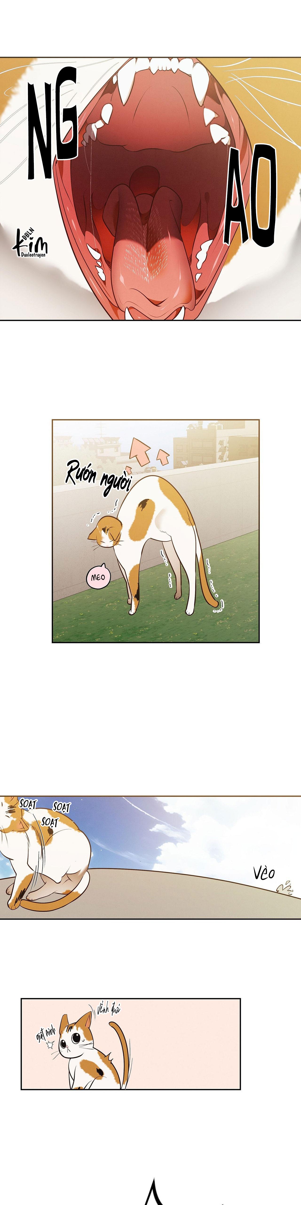 (DROP )PRAY - Chap 5