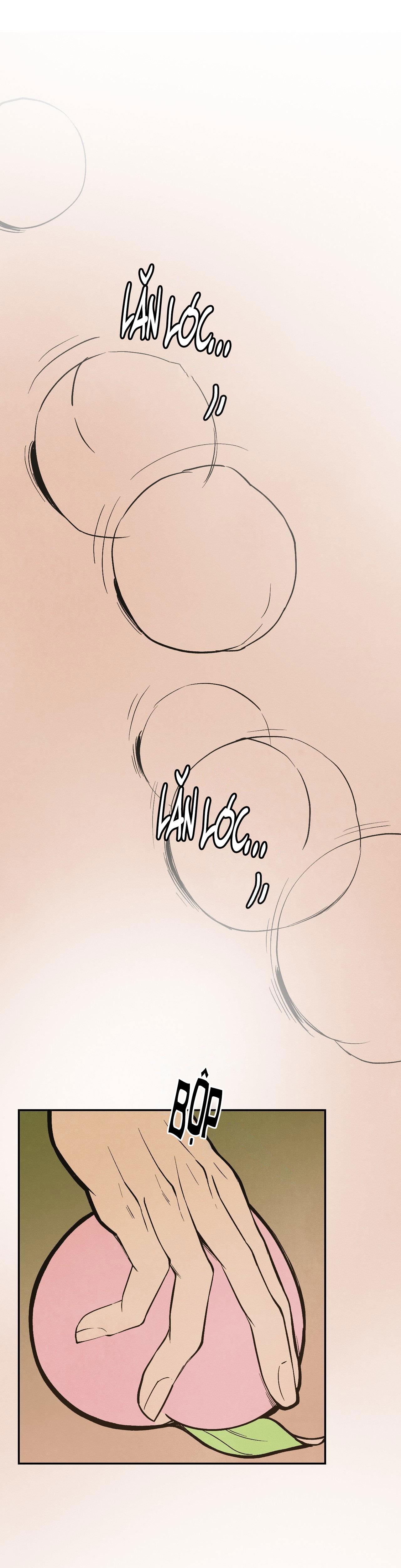 CẬU BÉ ĐÀO - Chap 24