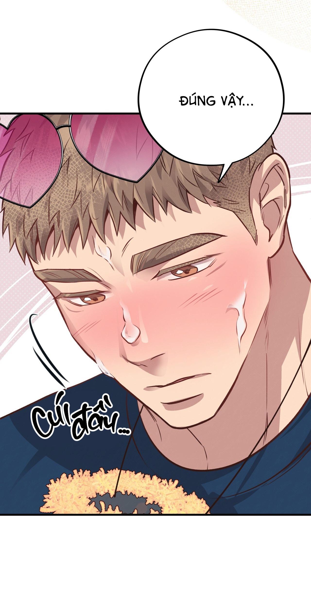 MẬT GẤU - Chap 31