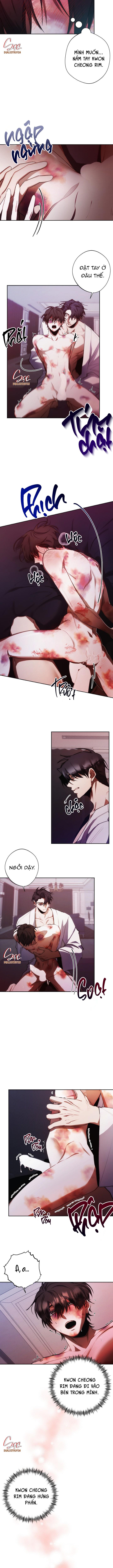 RED MANSION - Chap 14