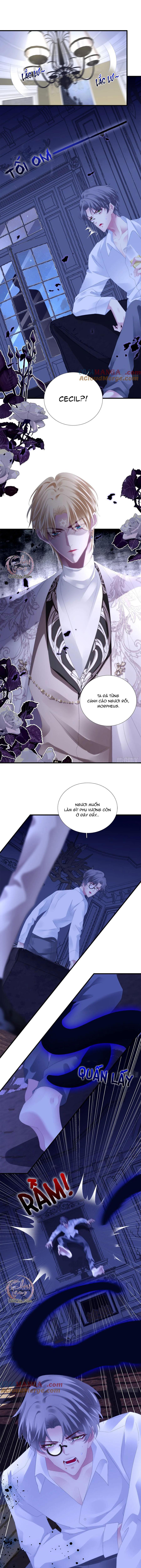 Thánh Tâm không dễ chọc - Chap 59