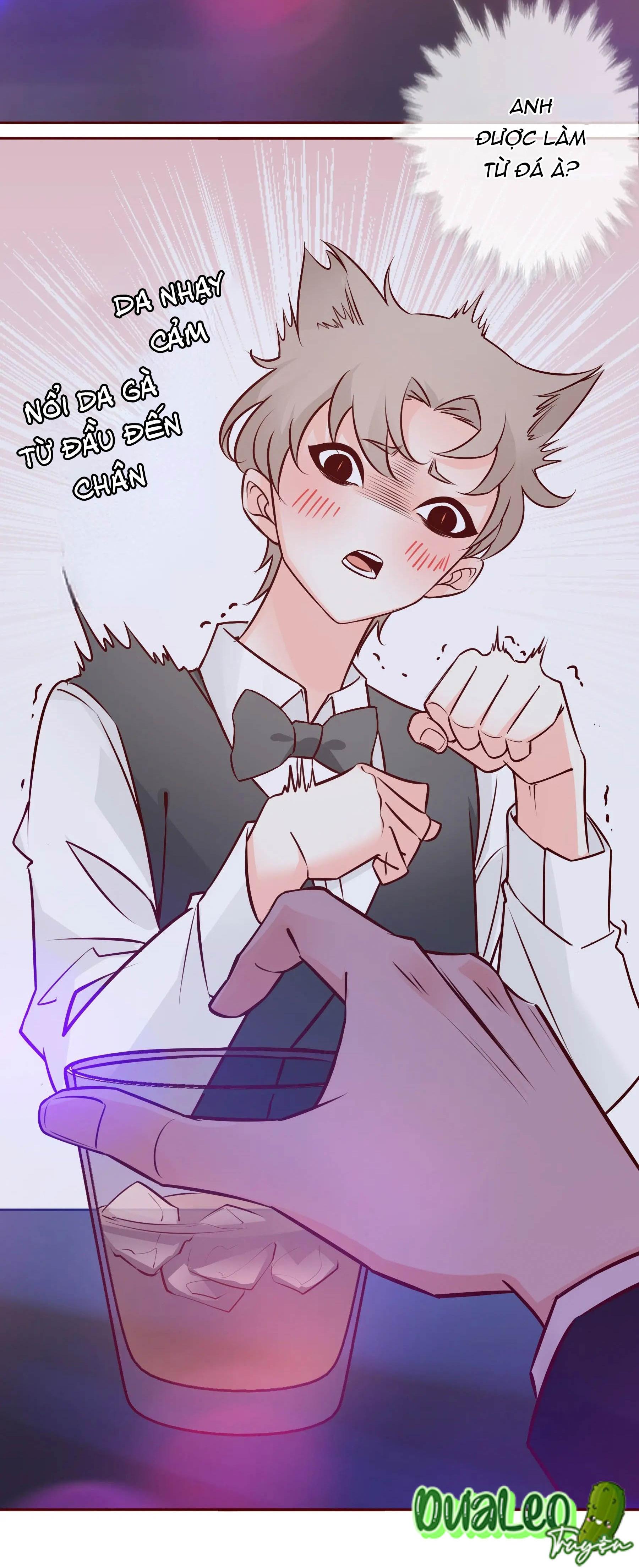 Yêu Em Bất Chấp - Chap 1