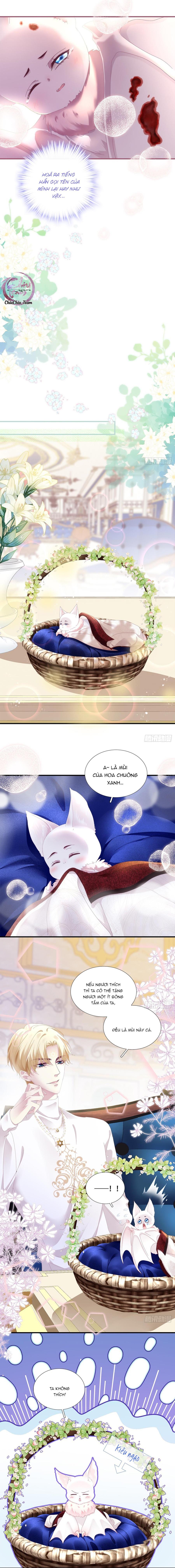 Thánh Tâm không dễ chọc - Chap 5