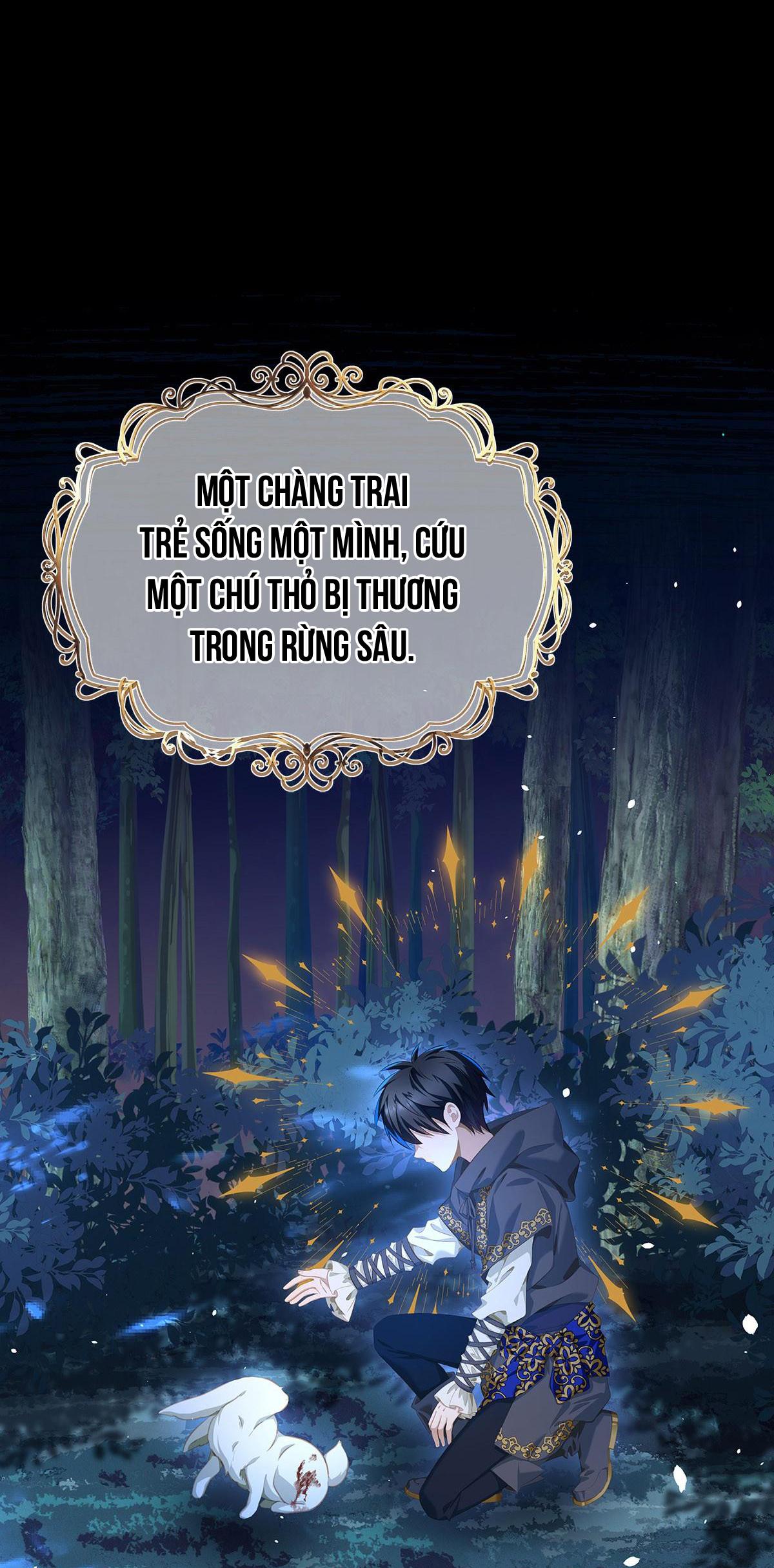 Tôi trùng sinh thành chú rồng đen của vương tử điện hạ - Chap 6