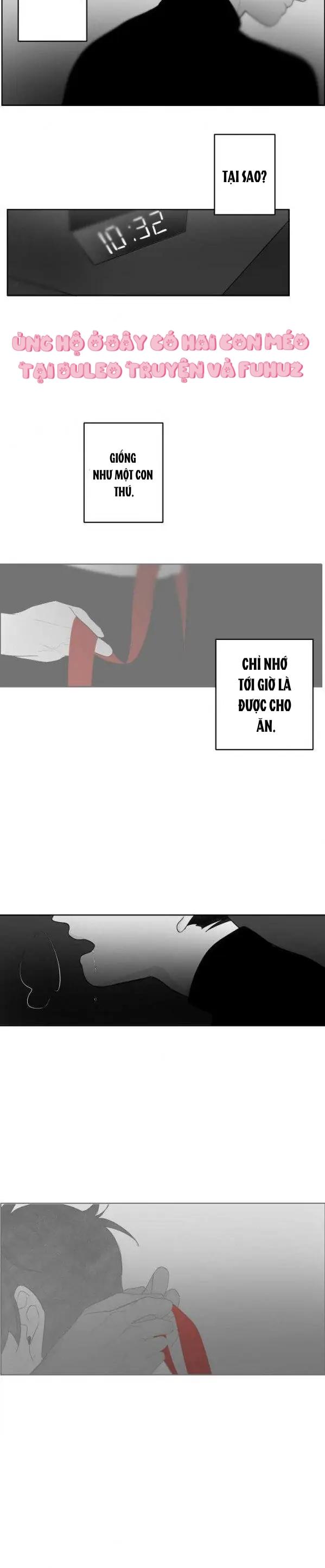 Vùng Đỏ - Chap 39