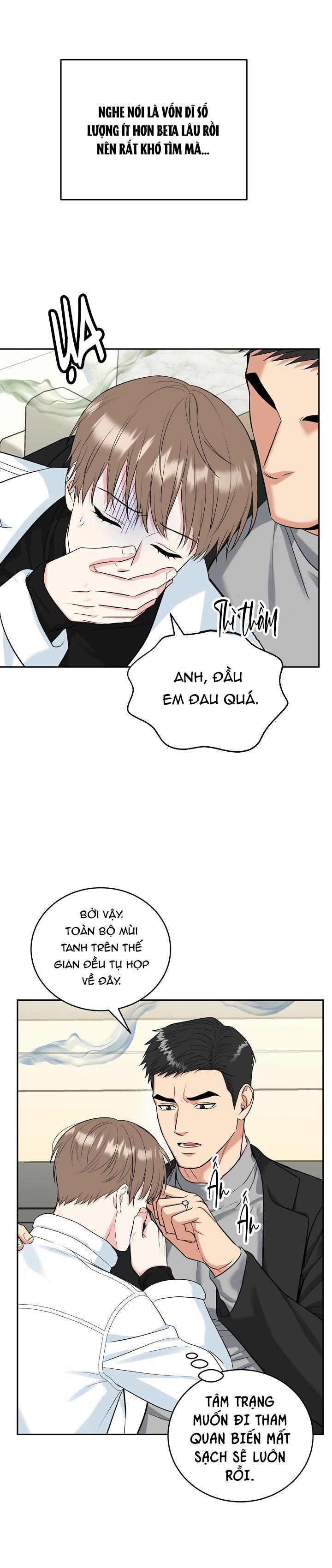 (ABO) HANG HỔ - Chap 54