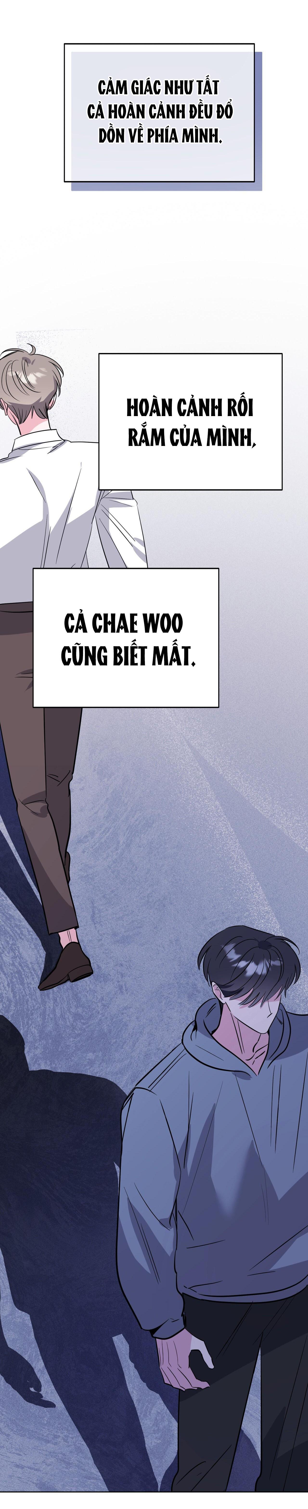 CẠM BẪY ĐẠI HỌC - Chap 97
