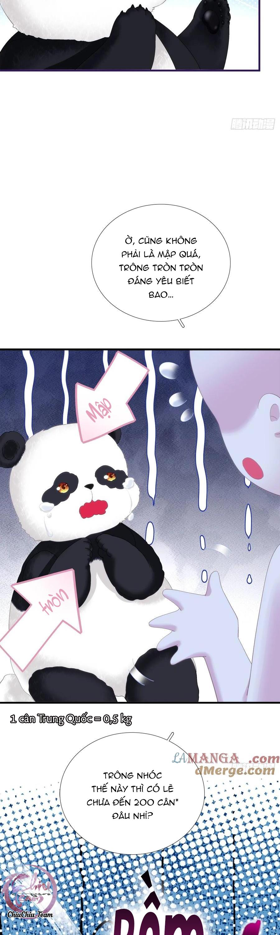 Thánh Tâm không dễ chọc - Chap 66