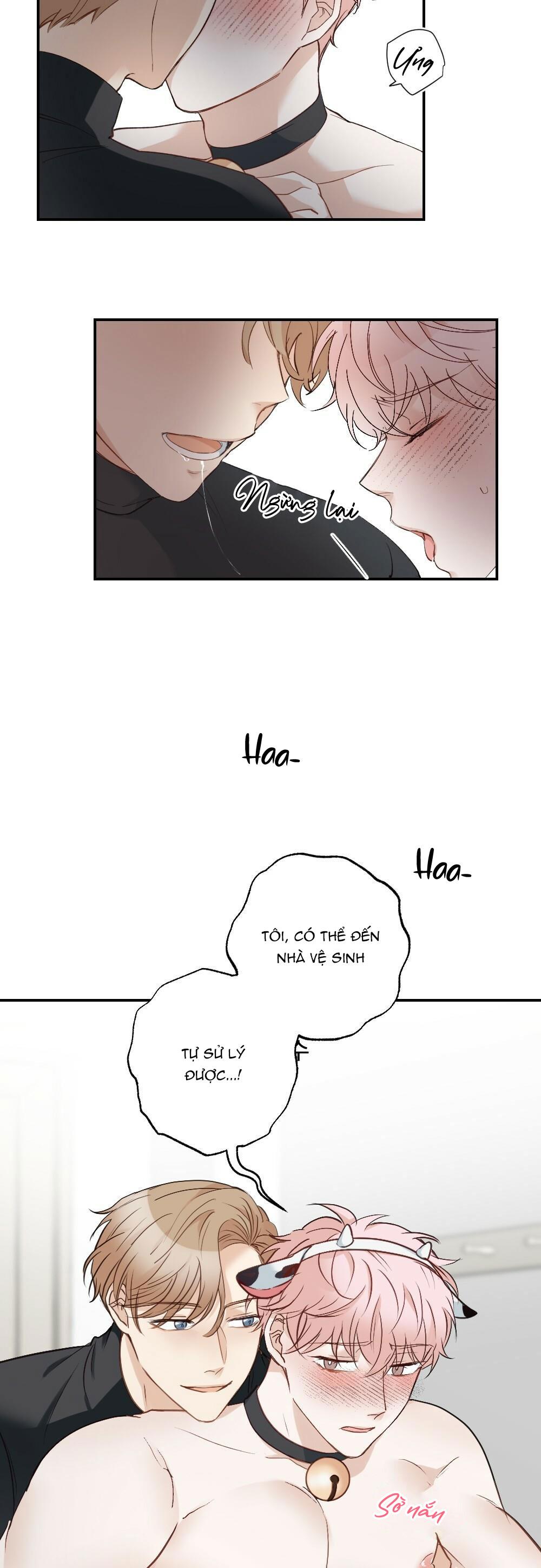 TUYỂN TẬP DÚ BỰ - Chap 65