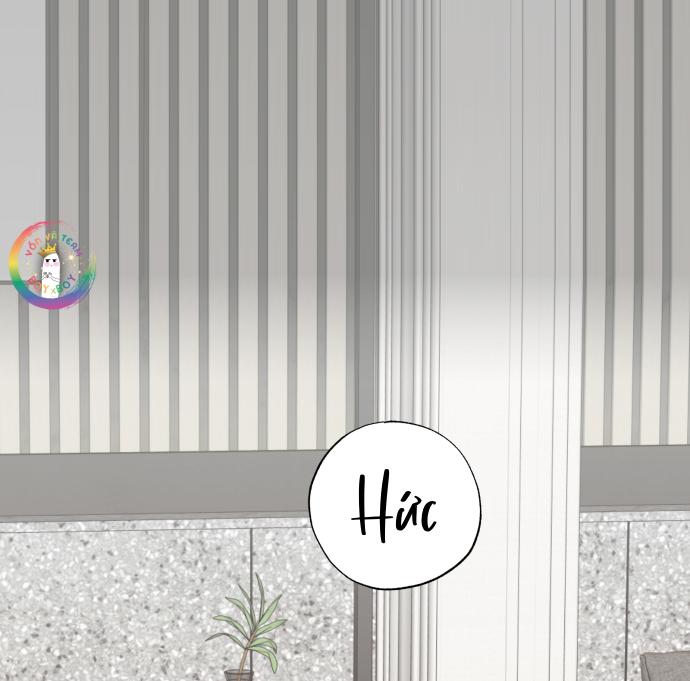 PRY (Trộm Nhìn) -END - Chap 50