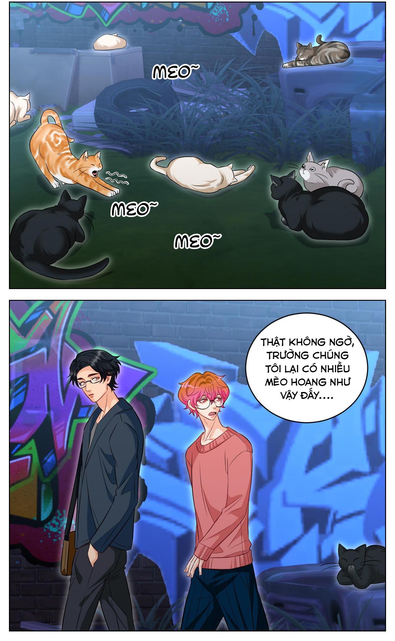 Ký túc xá nam phòng 303 - Chap 238