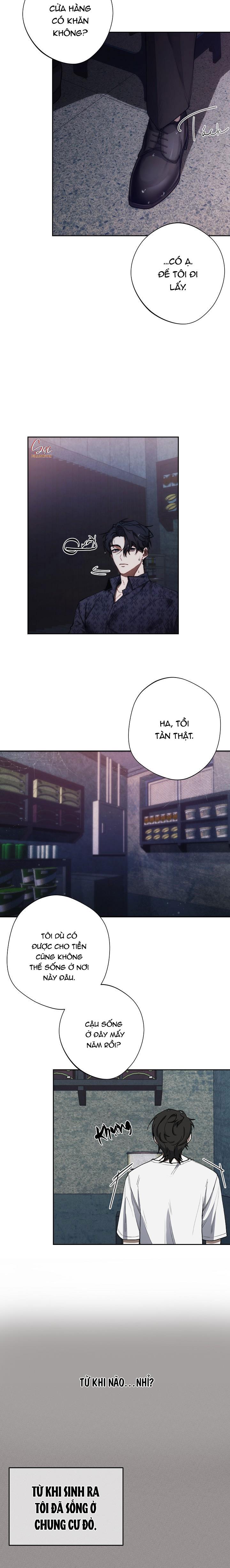 RED MANSION - Chap 8