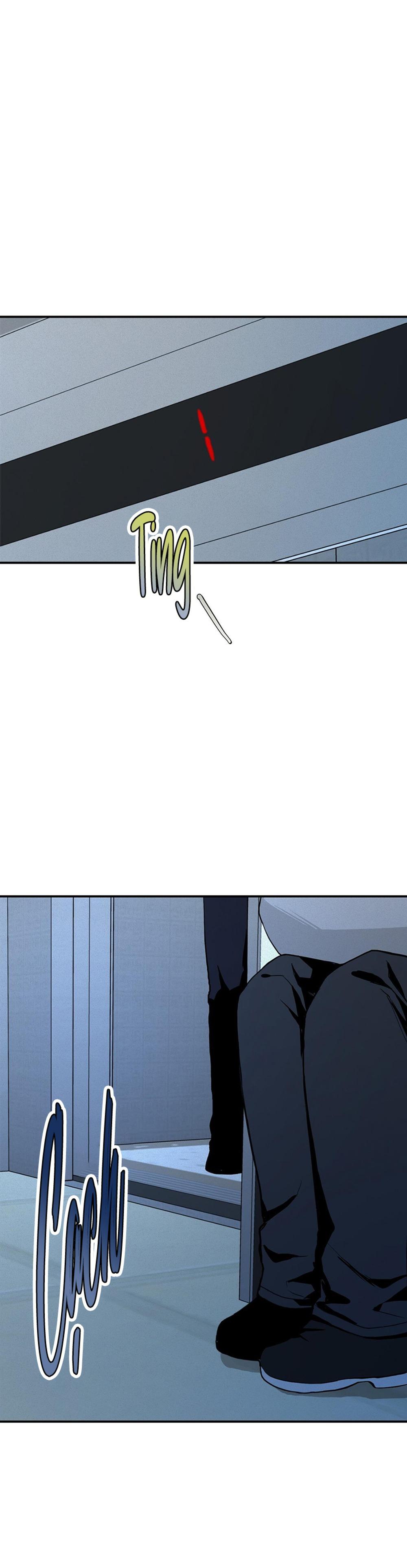 Hình Chiếu - Chap 3