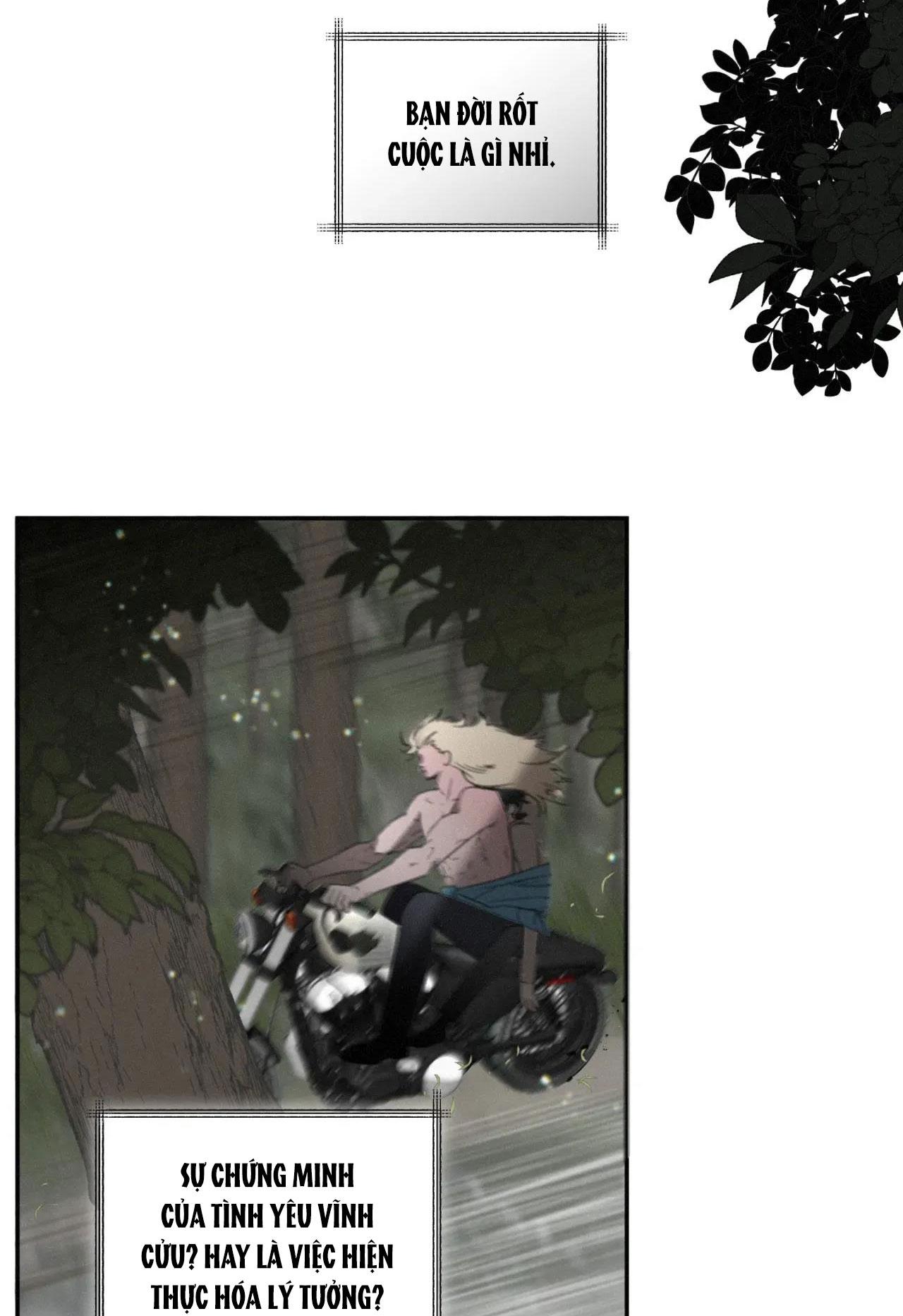 LỜI NÓI DỐI ĐẪM MÁU - Chap 31