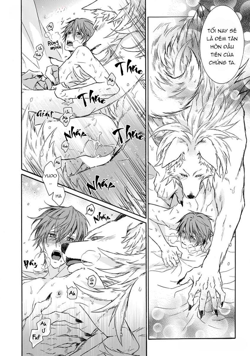 Quái thú không thể tách rời - Chap 14