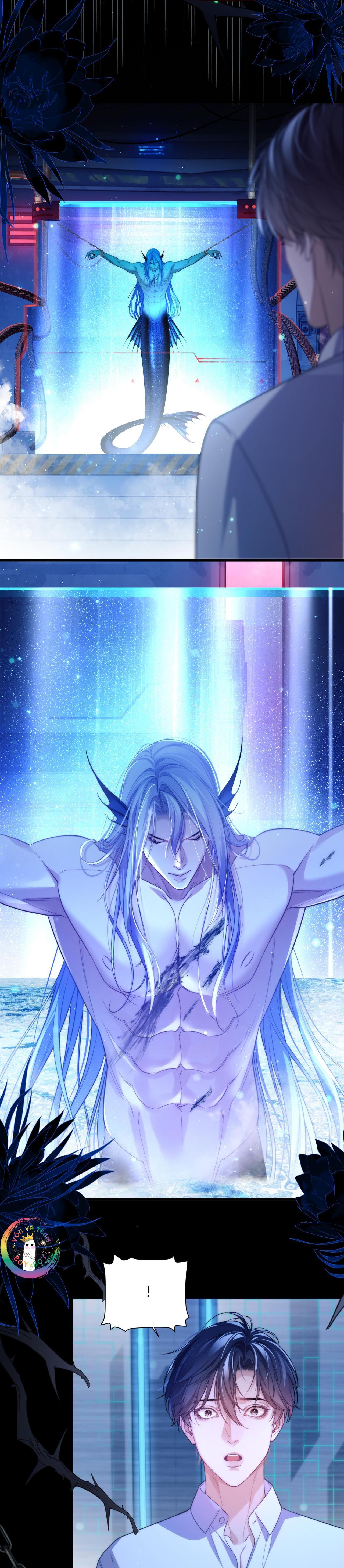 Nhân Ngư Desharow - Chap 68