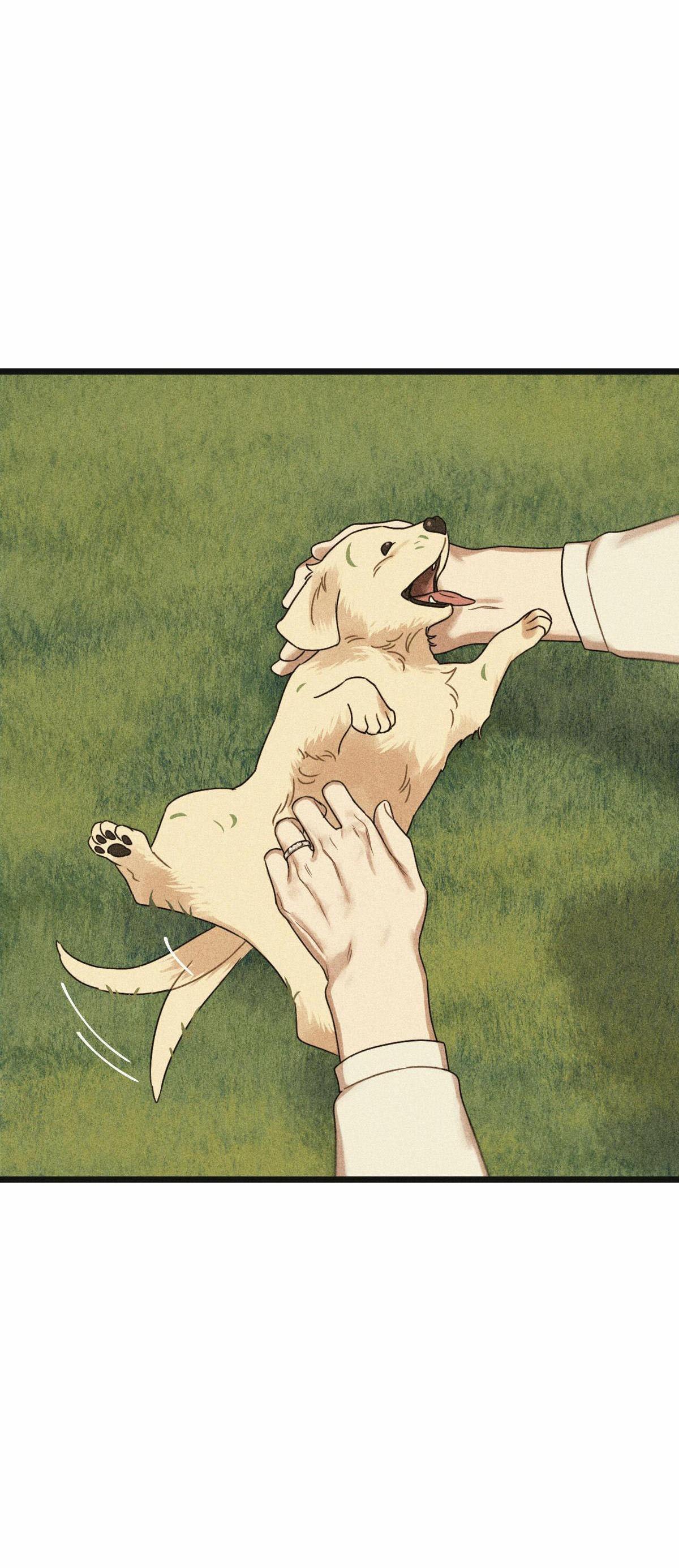 TRÙNG PHÙNG - Chap 24