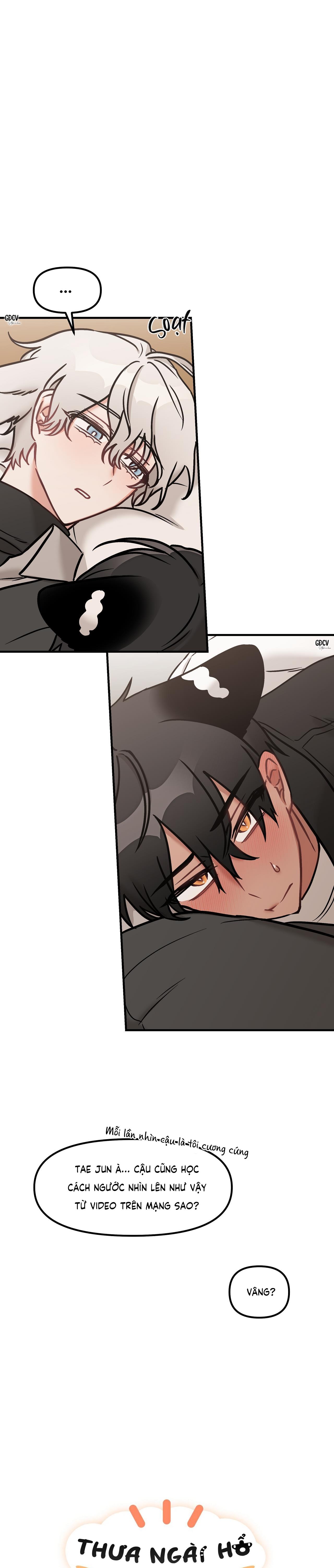 THƯA NGÀI HỔ, TÔI ĐÃ ĂN RẤT NGON MIỆNG - Chap 24