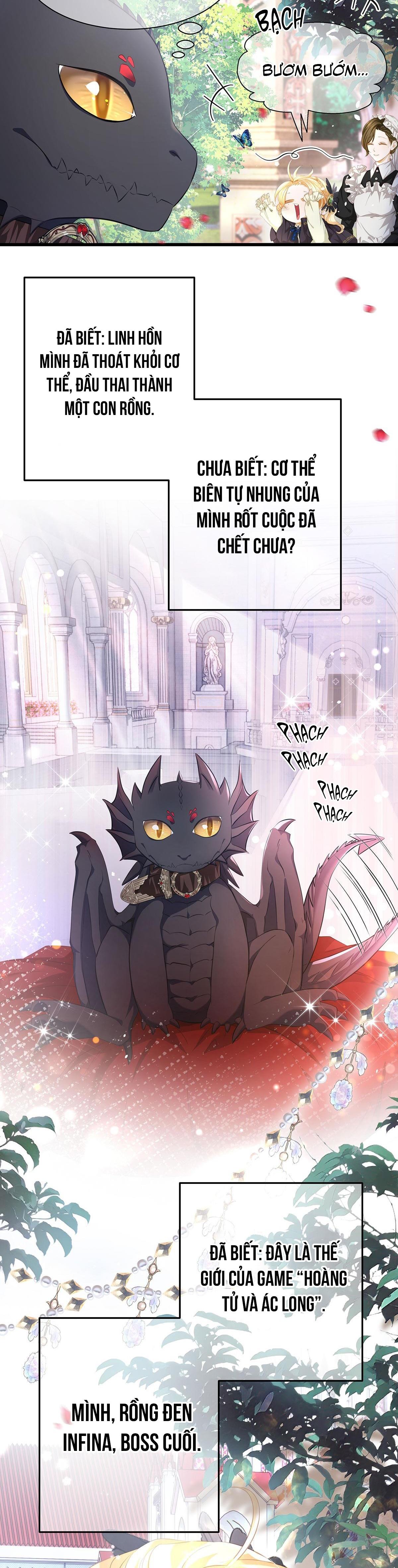 Tôi trùng sinh thành chú rồng đen của vương tử điện hạ - Chap 2