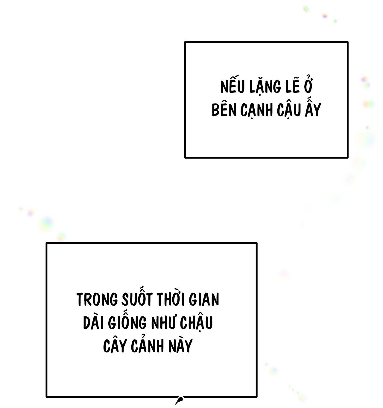 MẬT GẤU - Chap 52