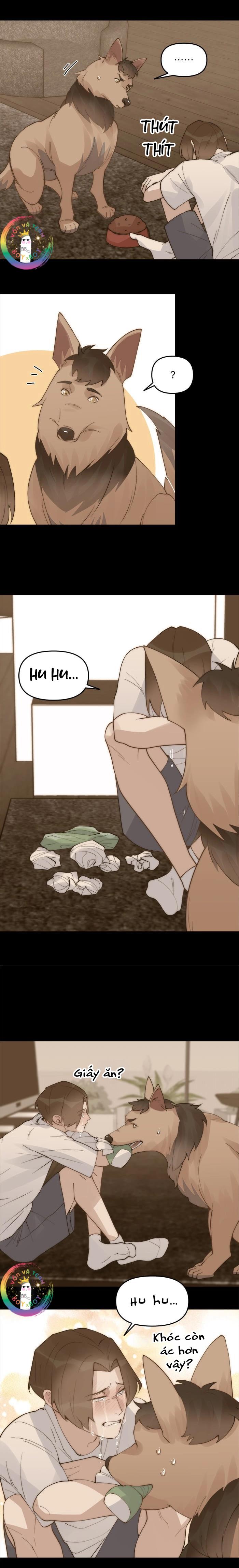 (END) Đàn Anh Sói Ca Cùng Phòng Của Tôi - Chap 47