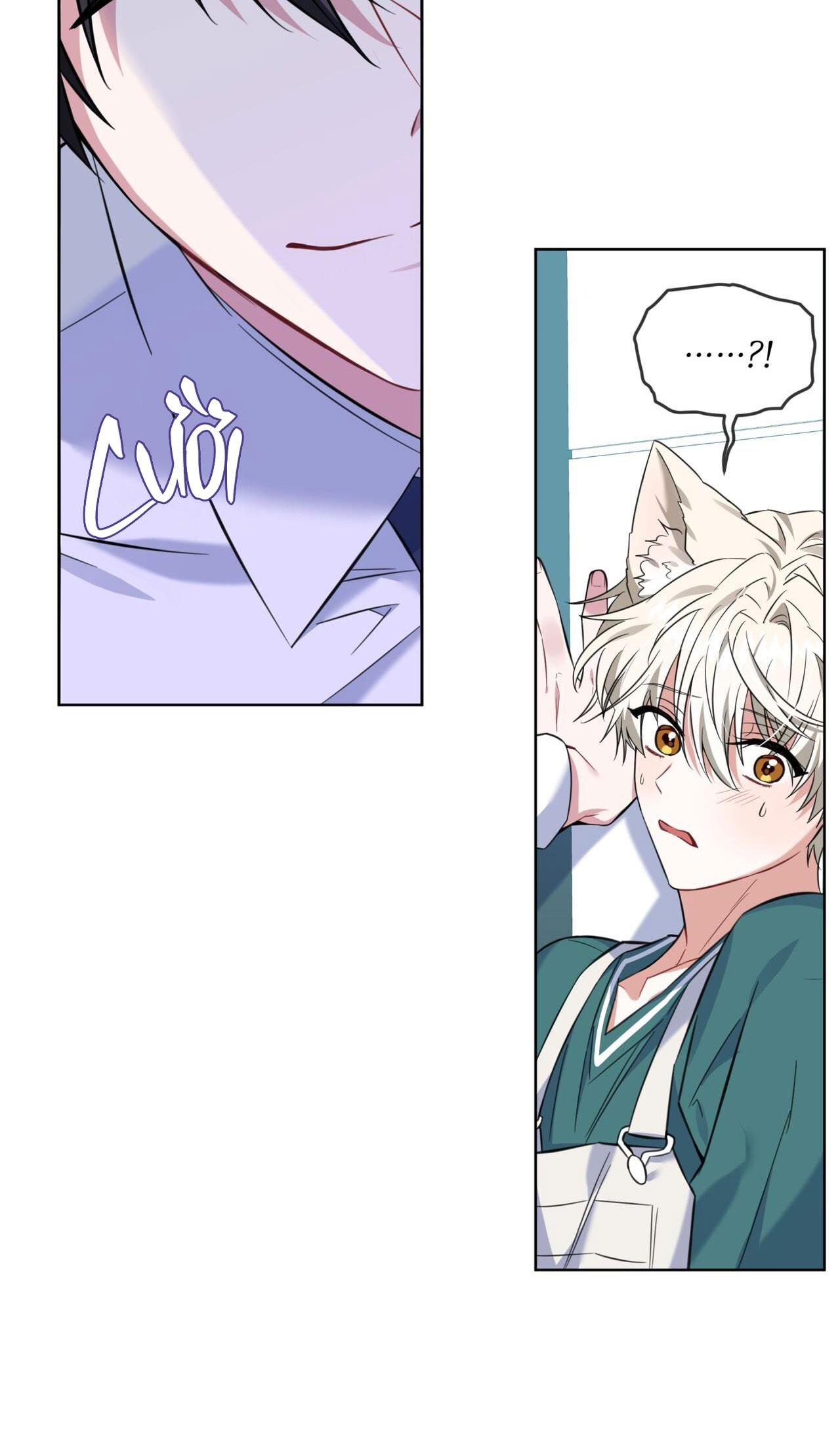 NƯỚC UỐNG TÌNH YÊU CỦA CÁO PLIN - Chap 3