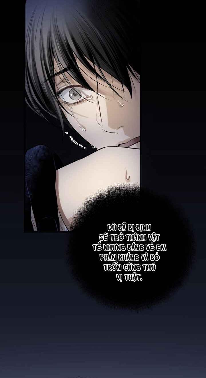 [END] HƠI THỞ CỦA CỪU - Chap 5